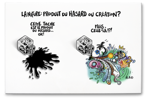 Tableau "Hasard ou création" 60X40X2