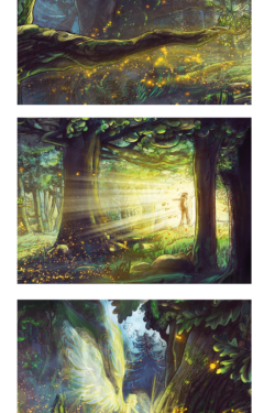 3 Cartes Postales - Rendez-vous dans la forêt 2